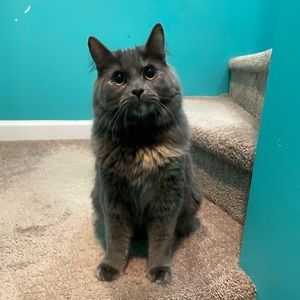 Meet your Posher, Max